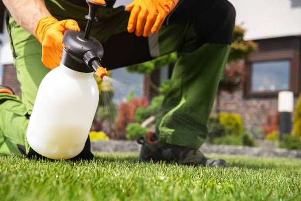 Pest Control Cost in Cloquet, MN